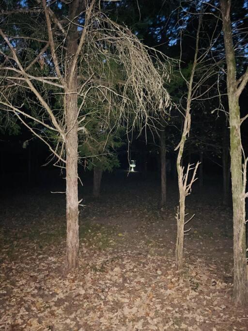 Bastrop Tiny Disc Golf Retreat Villa Exteriör bild